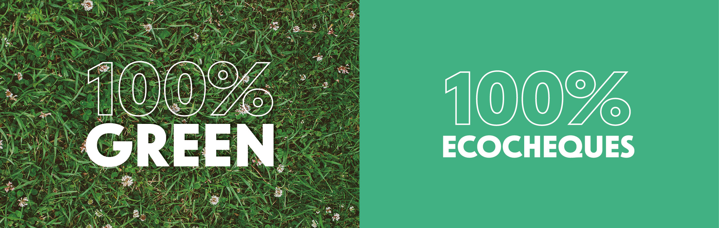 iLabo ecocheques